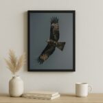 Quadro Decorativo Falcão Peregrino Cinza e Preto