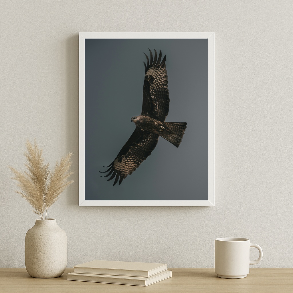 Quadro Decorativo Falcão Peregrino Cinza e Preto