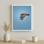 Quadro Decorativo Falcão Peregrino Voando