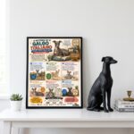 Quadro História Galgo